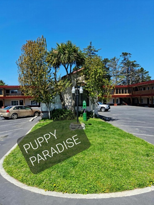 North Coast Inn image 1