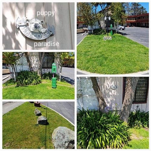 North Coast Inn image 3
